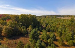 Shively Road, Fife Lake, MI 49633