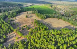 1739 County Rd 7, Skipperville, AL 36353