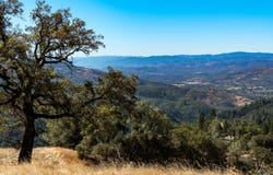 Redwood Valley, CA 95470