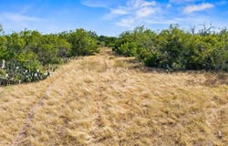 TBD LT9 Broken Ranch Trail, Alice, TX 78332