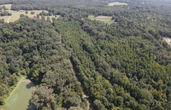 Wildwood Road, Vaughan, MS 39179