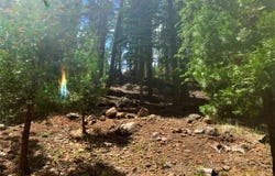 148 Slim Drive, Chester, CA 96020