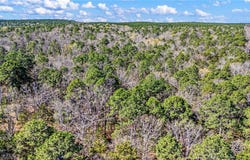 RIVERSIDE Road lot: 0, Delaware, AR 72835
