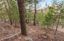 Upper Moss Rock Rd, Golden, CO 80401