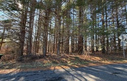 4306 Keno Rd lot: 6, Laurel Fork, VA 24352