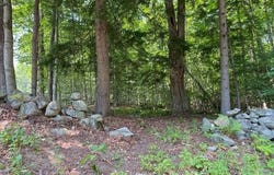 96 Nelson Hill Road, Sutton, NH 03221