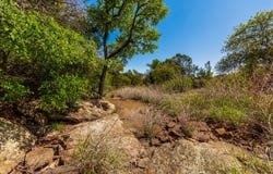 551 COUNTY ROAD 121, Coleman, TX 76834