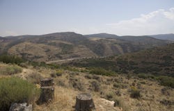 TBD County Road 47, Hamilton, CO 81638