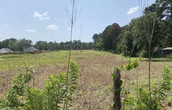 CR 2144, Troup, TX 75789