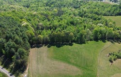 Tom Mix Road, Westfield, NC 27053
