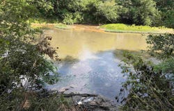 COUNTY ROAD 509 lot: 1, WOODLAND, AL 36280