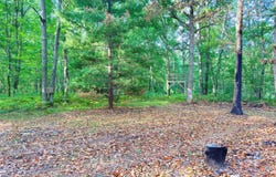 2679 S State, Chase, MI 49623