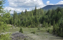5784 River Rd, Clark Fork, ID 83811