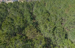 Ben Giddens Road lot: 3, Eastman, GA 31023