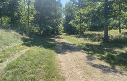 County Road 550, Ellington, MO 63638