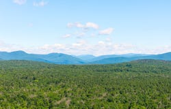 Buck Road, Stone Ridge, NY 12484