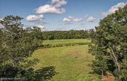 2498 Hilton Lane, Smithdale, MS 39664