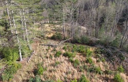 Franklintown Road, Spruce Pine, NC 28777