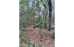 5210 CO RD 214, Keystone Heights, FL 32656