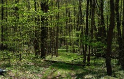 Sanly Road, Franklin, NY 13839