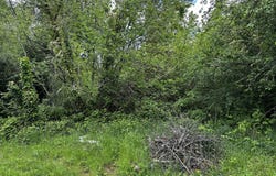 13th Ave, SweetHome, OR 97386