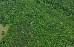 HOLLYWOOD RD, APPOMATTOX, VA 24522