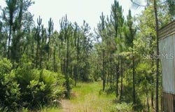 323 OLD BUBBLY Road, PIERSON, FL 32180