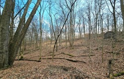 1767 Mohican Court, Hide A Way Hills, OH 43107