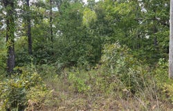 L4H Old CC Road, Hardy, AR 72542