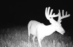 15th Rd & Unique Rd, Bronson, KS 66755