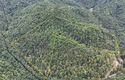 996 Bear Creek Rd, Gassaway, WV 26624