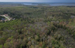 6639 Fall Road, Grawn, MI 49637