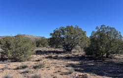 298 Quartz Hill Road, Ash Fork, AZ 86320