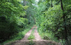 PID 69934 Duff Rd, Livingston, TX 77351