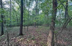 E Barton Ave., Cove, AR 71937