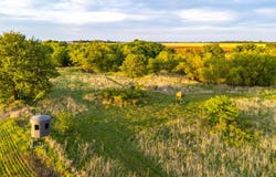 SE 30 Rd, Bluff City, KS 67018