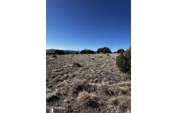58 Short Lane, Concho, AZ 85924