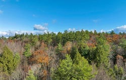 Dowboro Road, Pittsfield, NH 03263