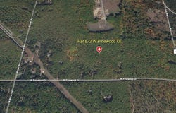 Par E-2 W Pinewood Drive, Roscommon, MI 48653