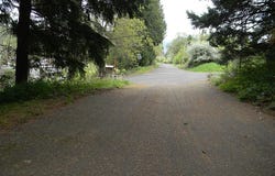 Sophie Ln, Carson, WA 98610