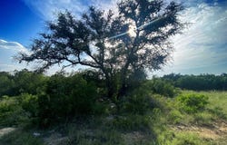778 J S Murry Ranch, Del Rio, TX 78840