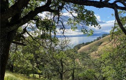 7524 Bruner Drive, Glenhaven, CA 95443