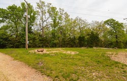 Perch Street, Kissee Mills, MO 65680