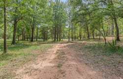 516 Willingham Road, Whitehouse, TX 75791