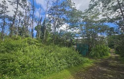 HAWAII RD, Pahoa, HI 96778