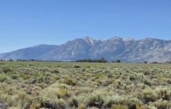 1205 Stephanie Way, Minden, NV 89423