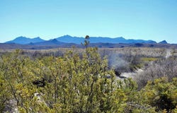 36 Teigen Drive, Terlingua, TX 79852