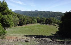39305 Pine Mountain RD, Cloverdale, CA 95425