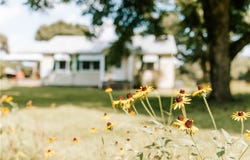 6 Burt Road, Carlton, GA 30627