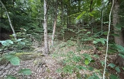 River Road lot: #2, Boonville, NY 13309